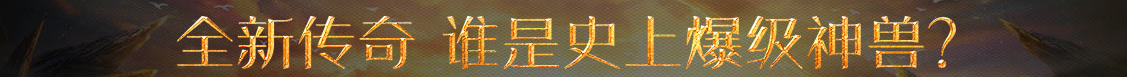 黄金网财富管理